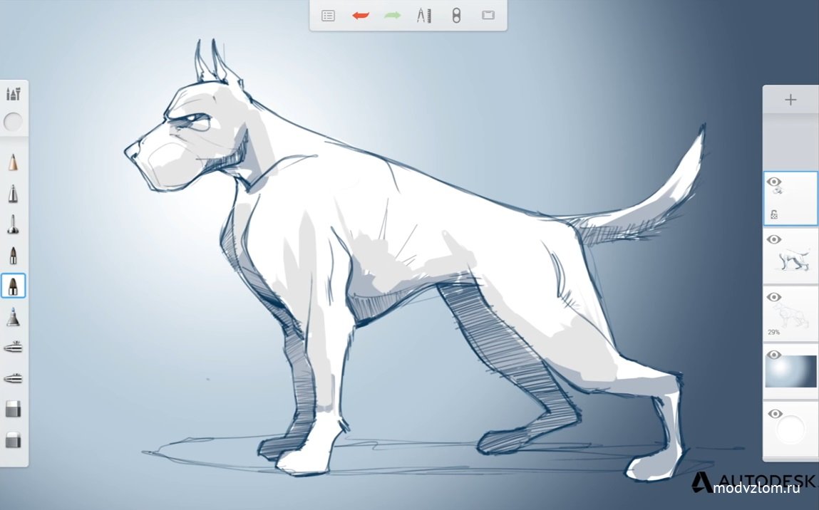 Приложение скетчбук. Рисование в Autodesk Sketchbook. Рисунки в приложении Autodesk Sketchbook. Аутодеск скетчбук. Скетчбук программа для рисования.