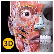 Анатомия - 3D Атлас v2020.0 Мод разблокировано