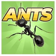 Pocket Ants: Симулятор Колонии v0.0558 Мод много денег