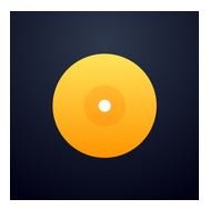 djay - DJ App & Mixer v3.0.5 Мод pro/все открыто
