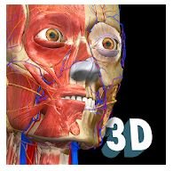 Anatomy Learning - 3D анатомический атлас v2.1 (Мод все открыто)