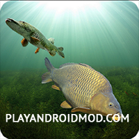 3DCARP v10.3 Мод много денег